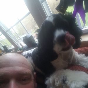 Meet your Posher, Steve